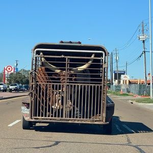 Meet your Posher, Scott